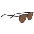 ARLIE, Shiny Dark Havana-Mineral Polarized Drivers Cat 2 to 3, hi-res image number null